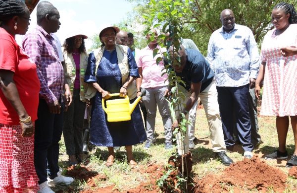 tree planting