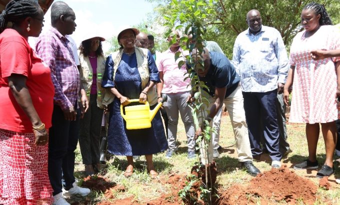 tree planting