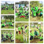 KEPSA FOUNDATION ESTABLISHES AN ORCHARD AT KIRIRI PRIMARY SCHOOL IN NDEIYA, KIAMBU COUNTY