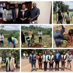 KEPSA FOUNDATION MONITORING AND STRENGTHENING KIJANI ORCHARD FOR SCHOOLS INITIATIVE